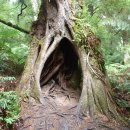 영어의정석 이미지