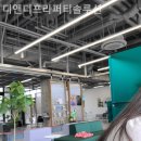 디앤디솔루션
