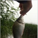 노진낚시터 이미지