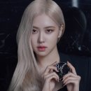 보그01헤어 이미지