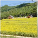 매화동길 8 | 정선펜션 / 예능촬영지펜션,드라마촬영지펜션 ' 매화골산촌 ' 추천!