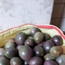 석영로 이미지