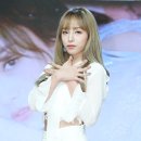 다원 이미지