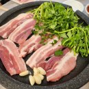 국민돼지 이미지