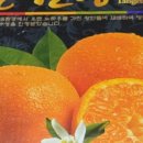 연세고운맘소아청소년과의원 이미지