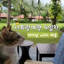 나트랑 여행 일정 코스 4일차 l 더아남 리조트 with 고양이 / 바이다이비치 서핑