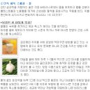 비엘여성의원 네이버블로그