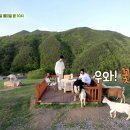 동원목장 이미지