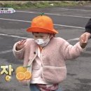 경환농장 이미지