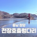 출렁다리 이팝나무길 | 청양 가볼만한 곳 천장호출렁다리 주차장 겨울풍경