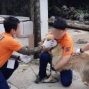 베토퀴놀코리아(주) 이미지