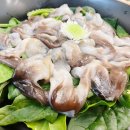 여수새조개 행운무궁화 이미지