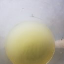 배산오토카 이미지