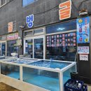 흑산도홍어식당