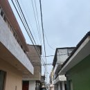 세상에서 제일 작은 개구리 왕자 | 🇵🇪Day41 세상에서 제일 긴 레프트 파도가 들어오는 곳, 페루 치카마::치카마 트립, 카페 El Gosque