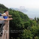 울산어울길제1구간 이미지