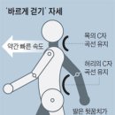 정성근 교수의 100년 쓰는 척추 관절 운동법 이미지