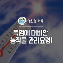 연꽃농원