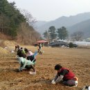 명이농장2 이미지