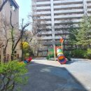 강남한방공인중개사사무소 이미지