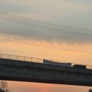 별에서 온 뿌꾸 이미지