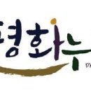 주.평화 티스토리