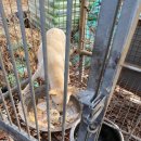 사연농장 이미지