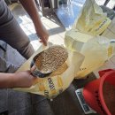 호피홀리데이 | 의성 호피홀리데이 나만의 수제맥주를 만들 수 있는 원데이 클래스 후기 (예약, 주차, 데이트 추천)