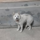 임당근린공원 이미지