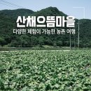 평창 대하리 전통가옥 | 다양한 체험이 가능한 평창 농촌 여행 산채 으뜸 마을