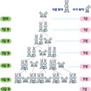 이야기로 배우는 수학 이미지