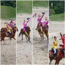 더마파크 이미지