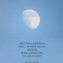 콧멍방에서 감명받은 시, 글귀를 아이폰 배경화면 사이즈(640*1136)로 만들어왔습니다 4탄 (BGM) 이미지