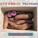 보금농장 이미지