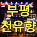 [공지] 인천 부평 무한리필 훠궈 맛집, 천유향 샤브샤브뷔페 본점!