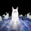 아르떼뮤지엄 이미지