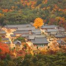 운문사 - 1733 | 운문사