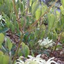 피내농장 이미지