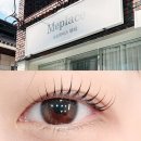 대구 달서구 송현동 속눈썹펌 미플레이스 유지력 좋은 대만족 후기