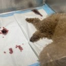 공감약국 이미지