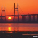 서해대교 Daum카페