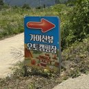 대구 근교 캠핑장 가야산뷰관광농원캠핑장 명당자리 C-10 꼼꼼한 후기!!