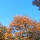 운남공원 이미지