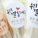 주니엠 이미지