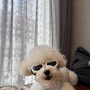 부린미용실 | 노원역미용실 악성곱슬 뿌리매직 준오헤어 노원문화의거리점 보미 디자이너 후기