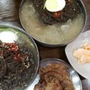 접시골
