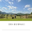 벨라45 오너스 컨트리클럽 | 강원도 횡성골프 5월 벨라45CC 라운딩 고향산천 맛집 후기