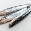 장군멸치회촌 이미지