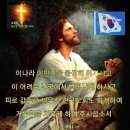 10.3,늘 푸른 나무 이미지