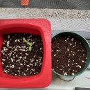 (주)스마일캐드 | 순식간에 사라진 7월